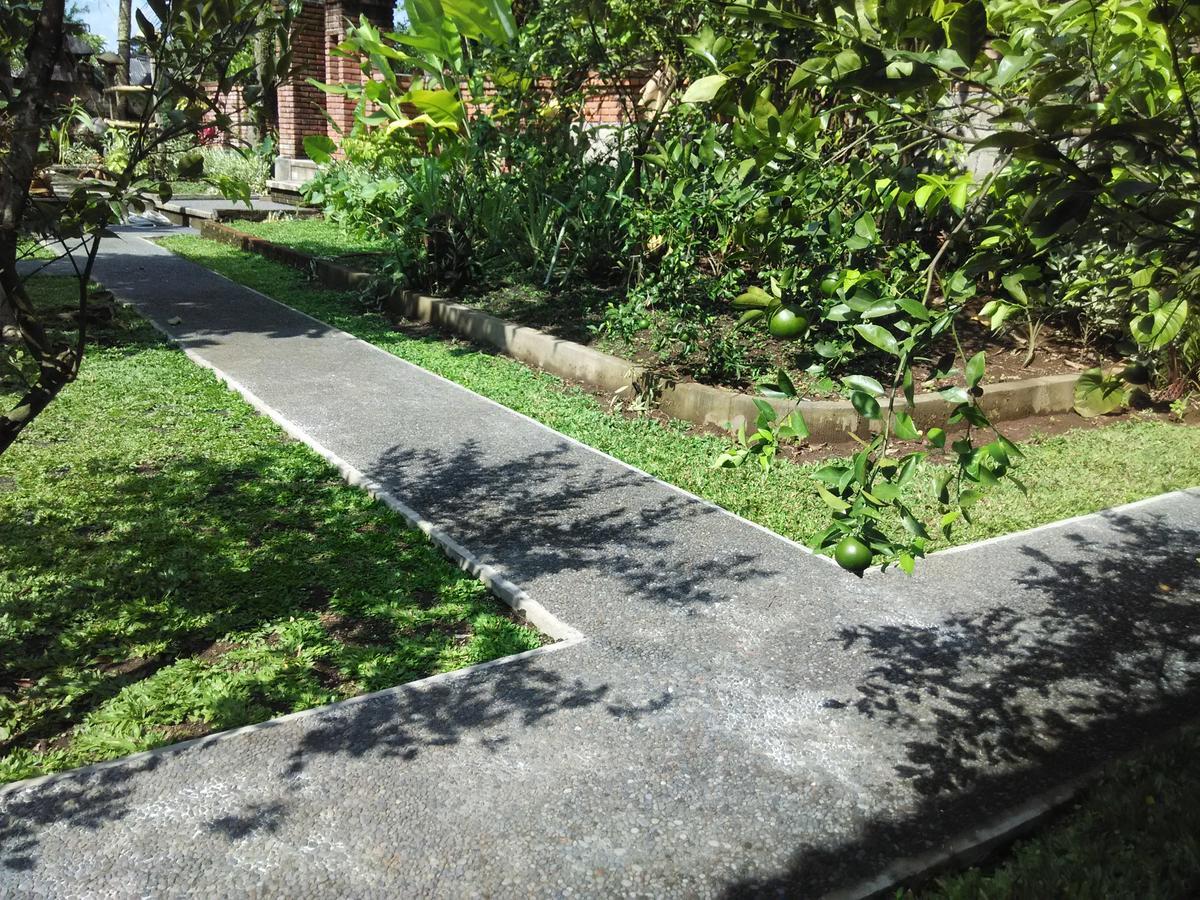 Sanga Suites Ubud Extérieur photo